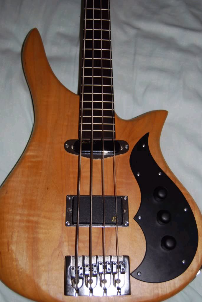 cortobass1.jpg