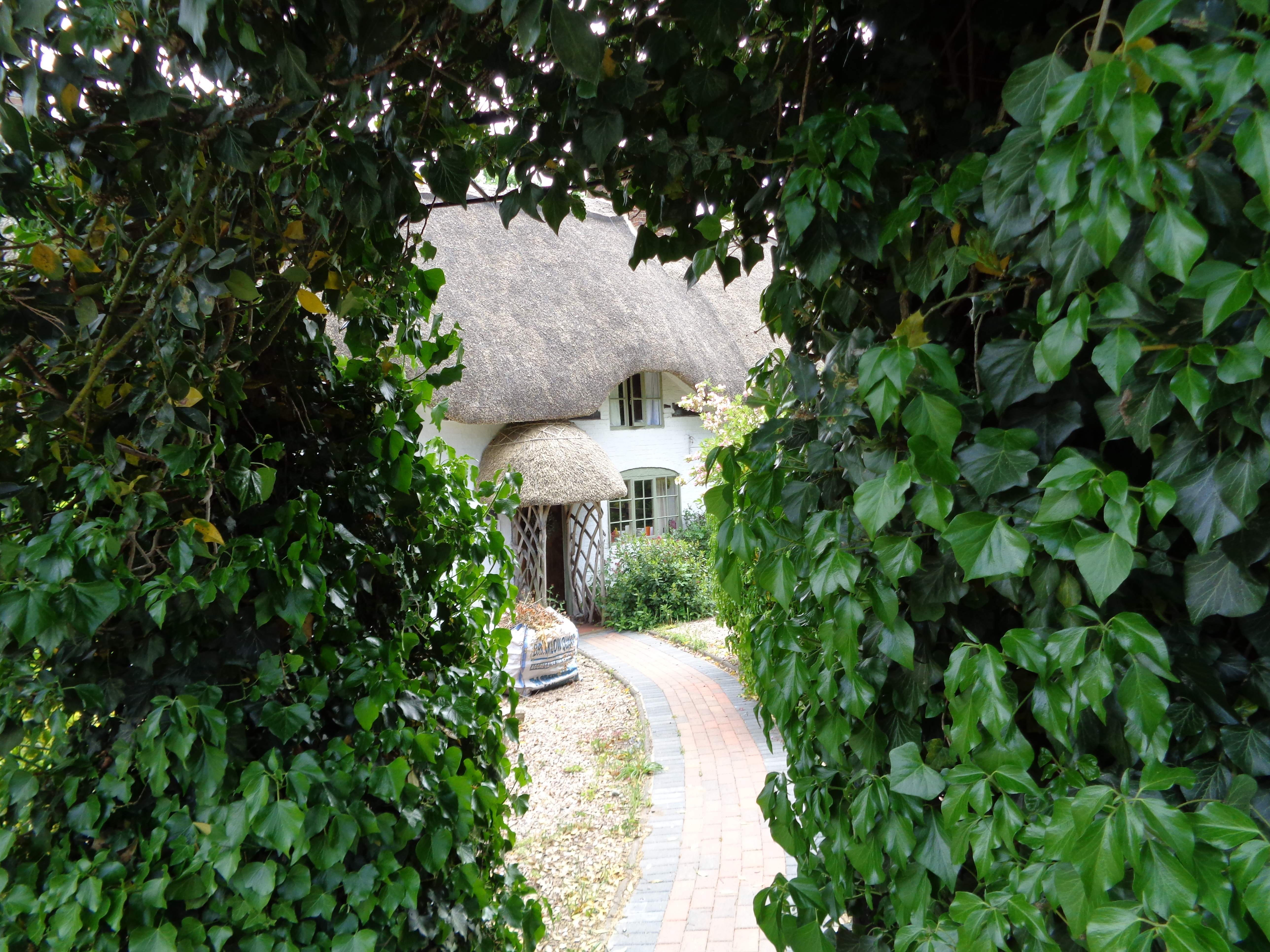 cottage.jpg