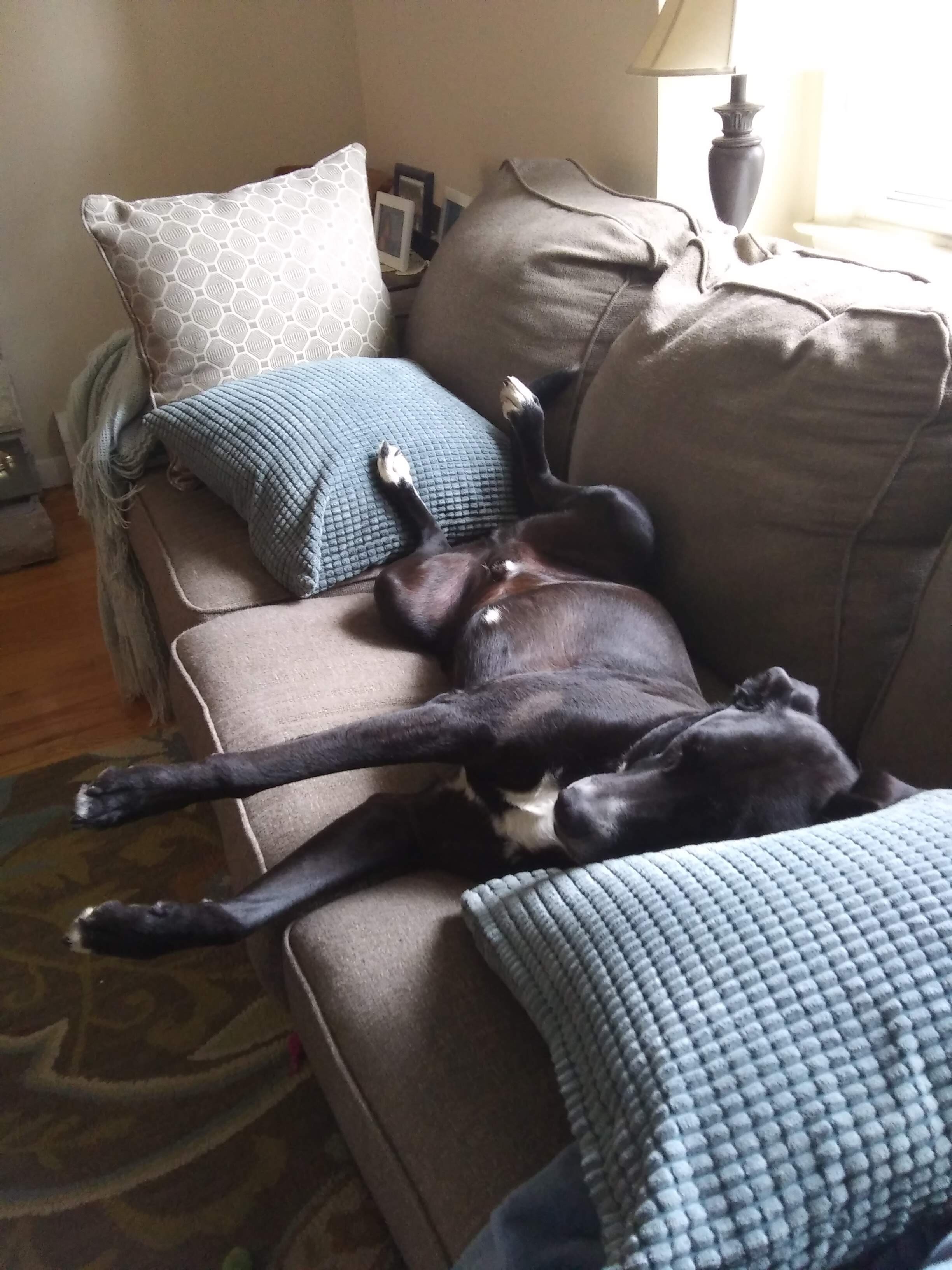couch (1).jpg
