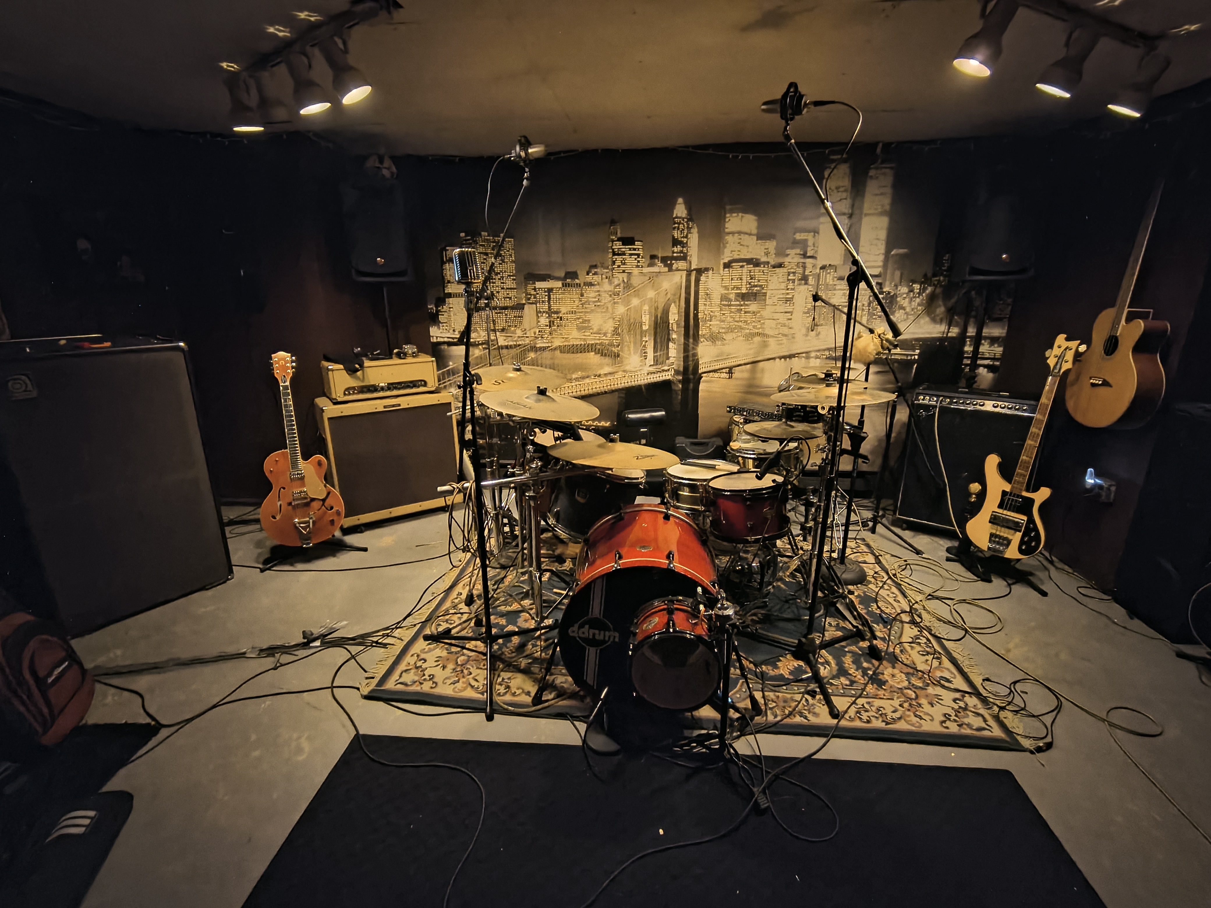 Cow-Studio.jpg