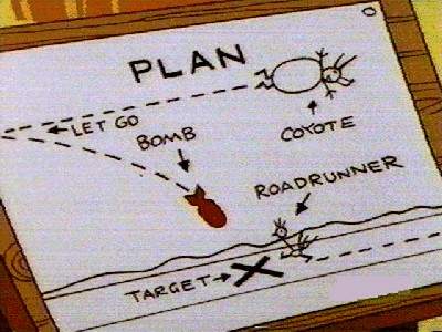 coyote5.jpg
