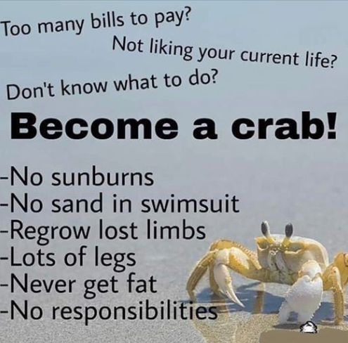 crab.png