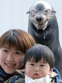 crazyseal.jpg
