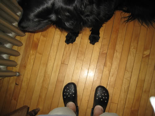 crocsanddog.jpg