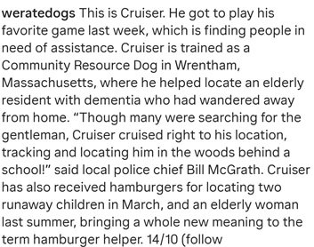 cruiser dog 2.jpg