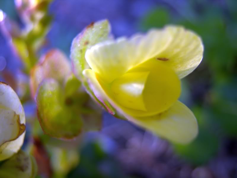 CRW_2061.jpg
