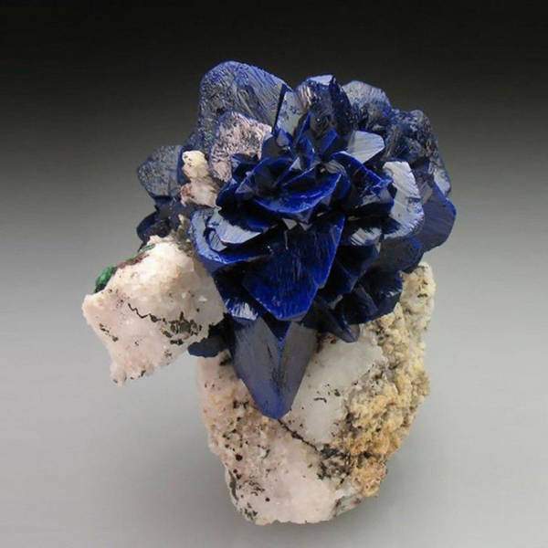 crystal rose.jpg