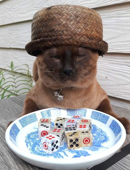 ct dice.jpg