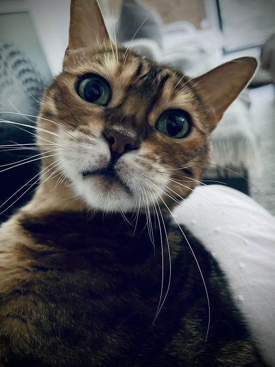 ct eyes.jpg