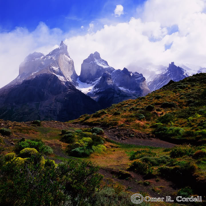 Cuernos12x12.jpg