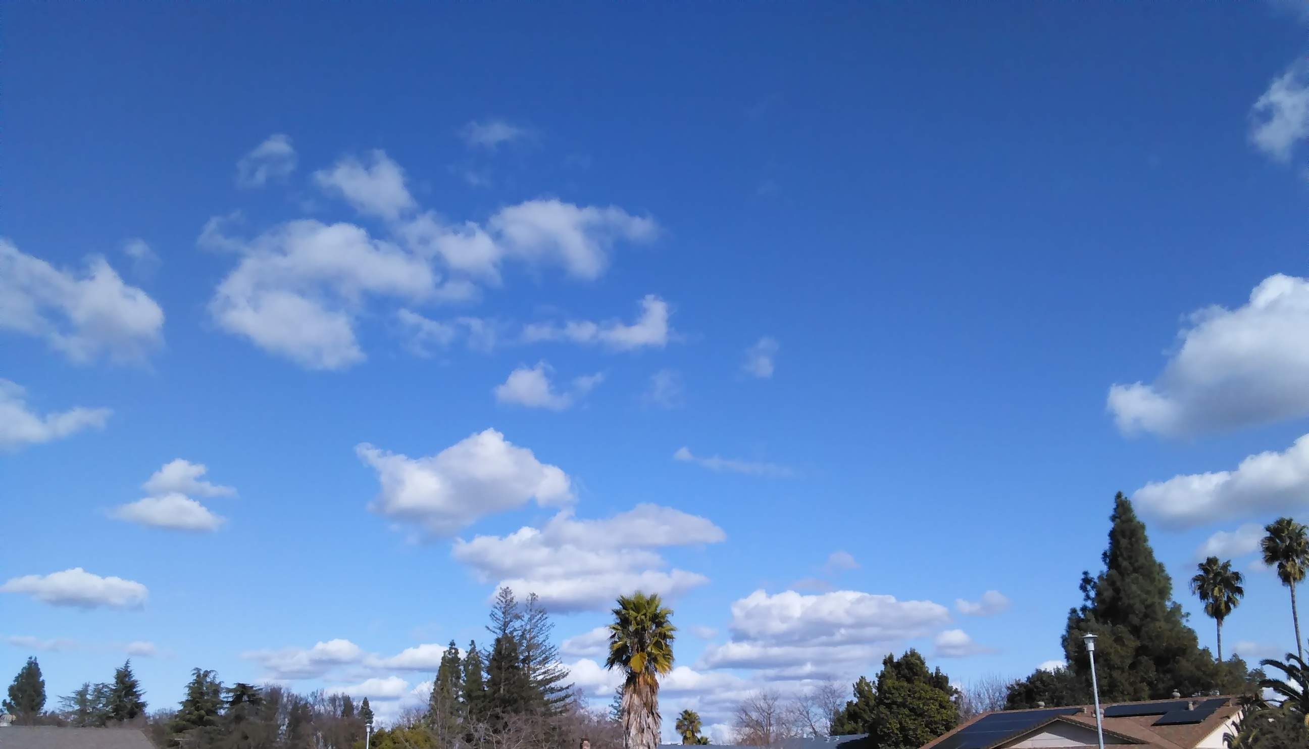 Cumulus Clouds - 1-19-2018.jpg