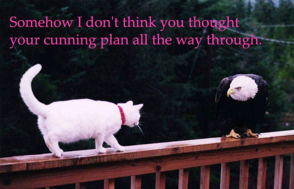 cunningplan4gfts6.jpg