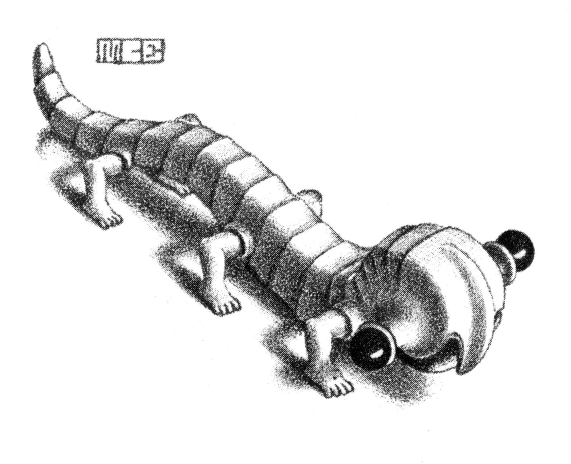 Curl-up.jpg