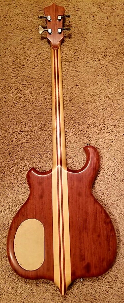 Custom Distillate fretless (back).jpg