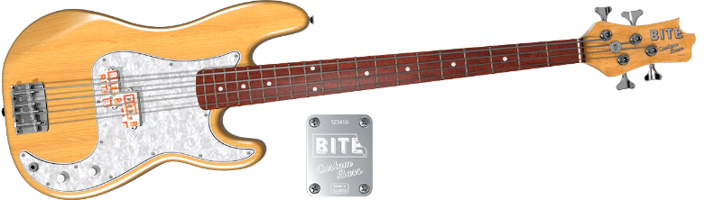 custom-guitar-iLeCYdBEGuTx.png