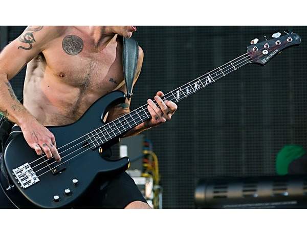 custom-molulus-flea-bass-xl.jpg