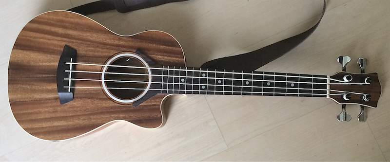 Custom u-bass 800.jpg
