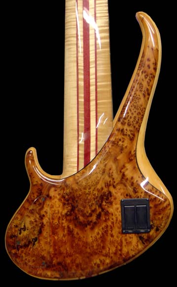 custom8flbk.jpg