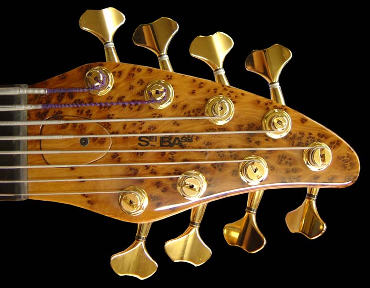 custom8flhs.jpg