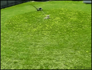 cYUM3.gif