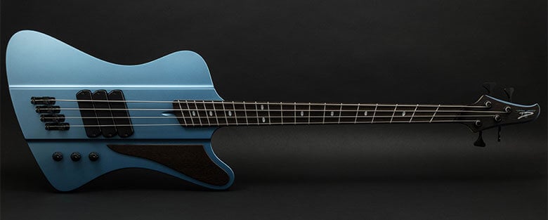 d-bird-main-img.jpg