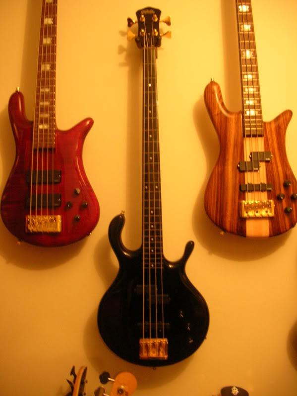 d016.jpg
