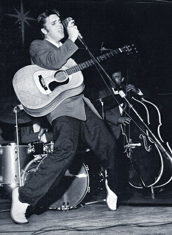 D043_Elvis.jpg