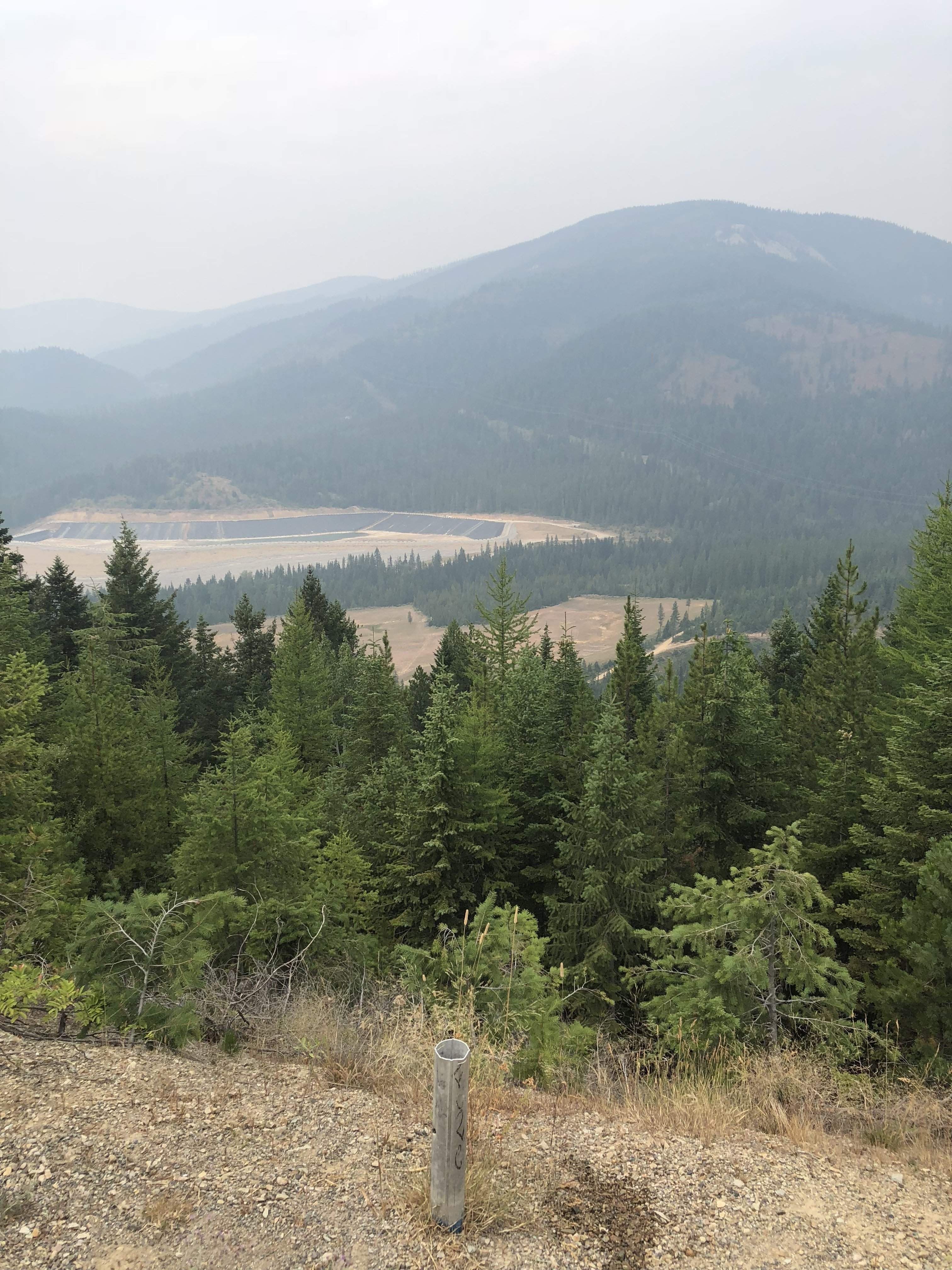 D0CBC0DF-25EC-4785-B7E5-361C95866E00.jpeg