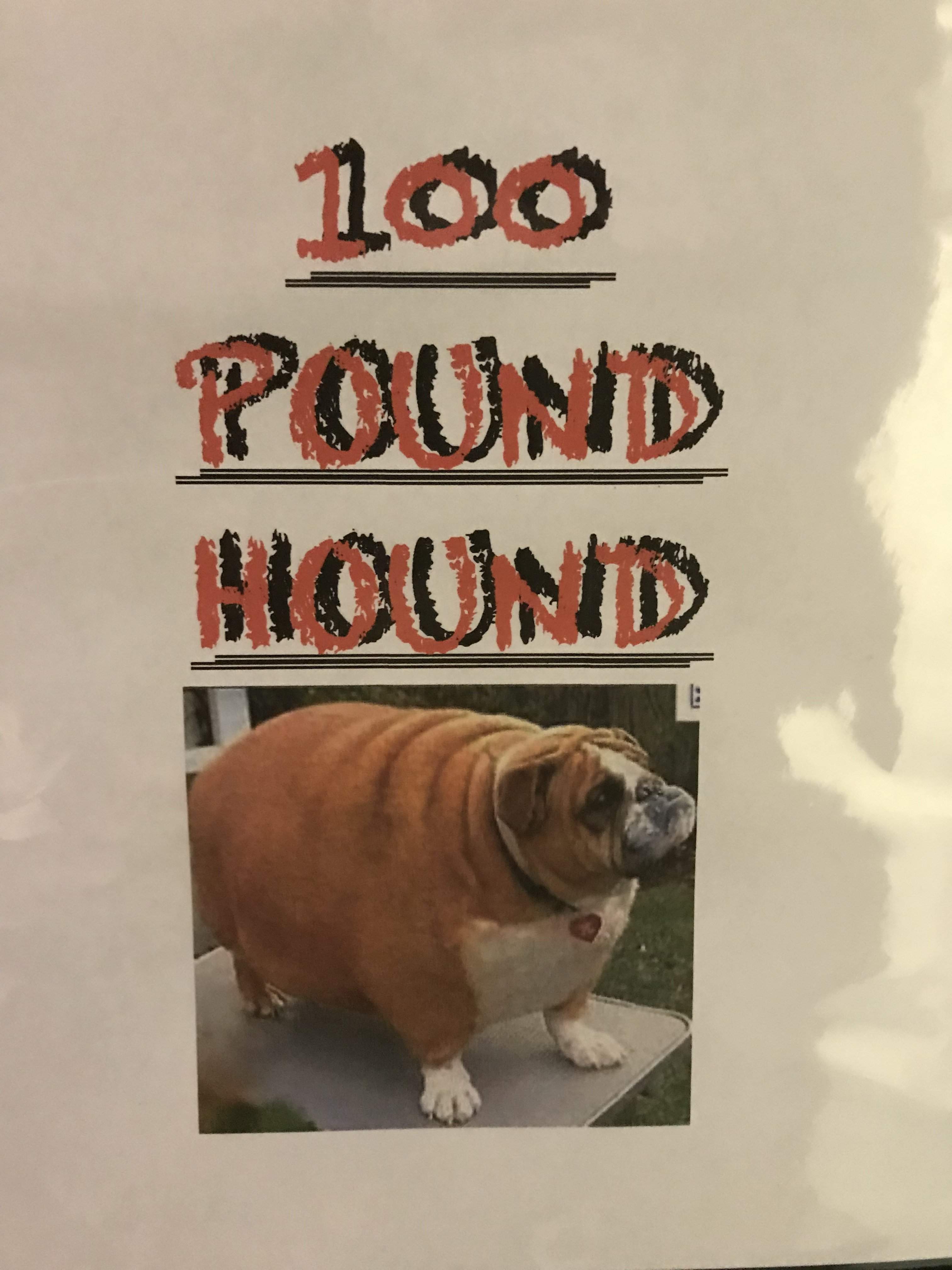D0E800D2-F067-455B-9DF5-A21FE9CD28E8.jpeg