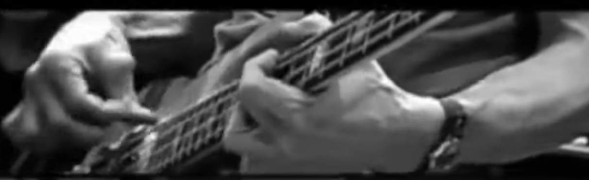 D119B439-CBF9-4649-8AD9-86D349B37542.jpeg