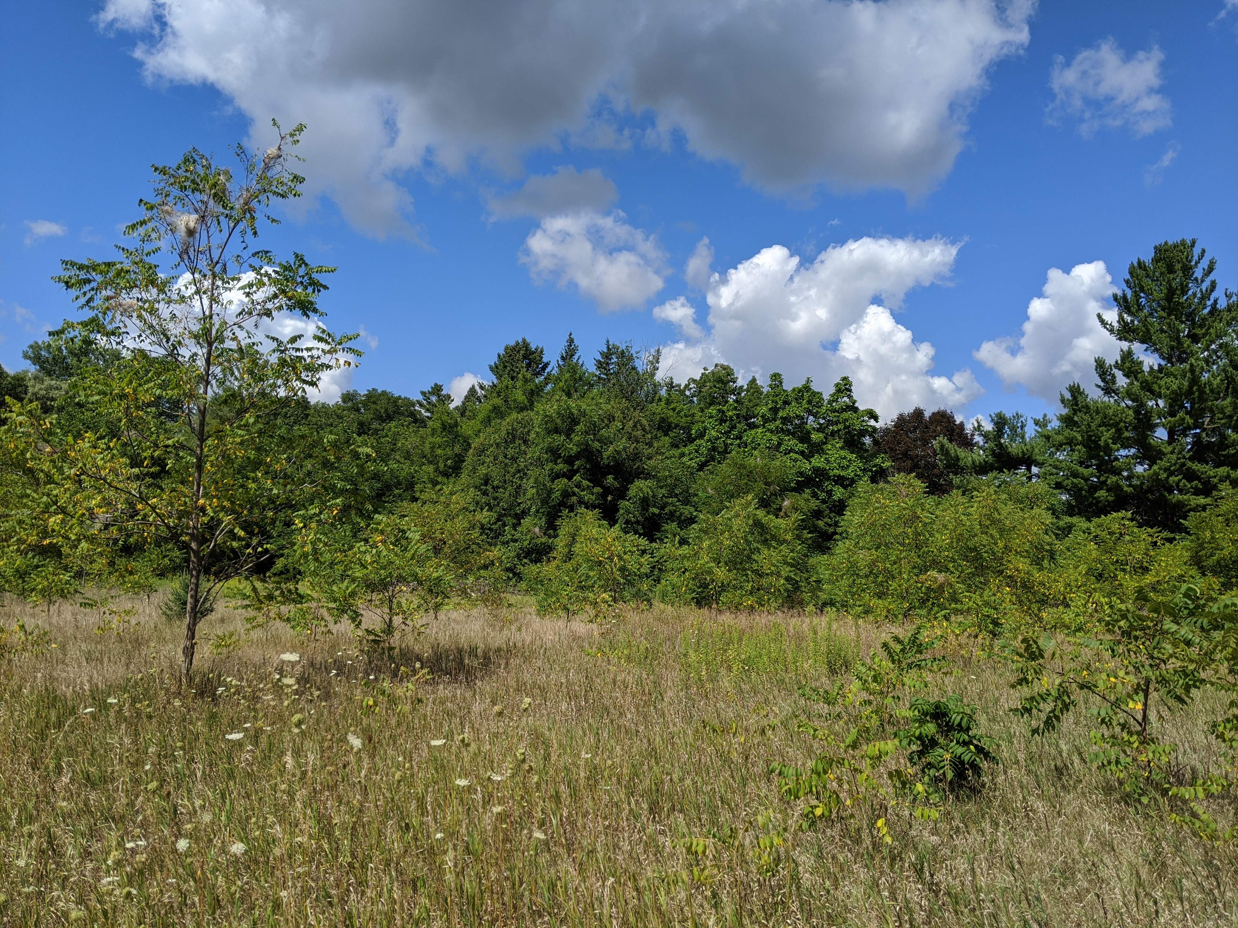 D14676B2-C37C-45D0-B7EE-EE860F96F41A.jpeg
