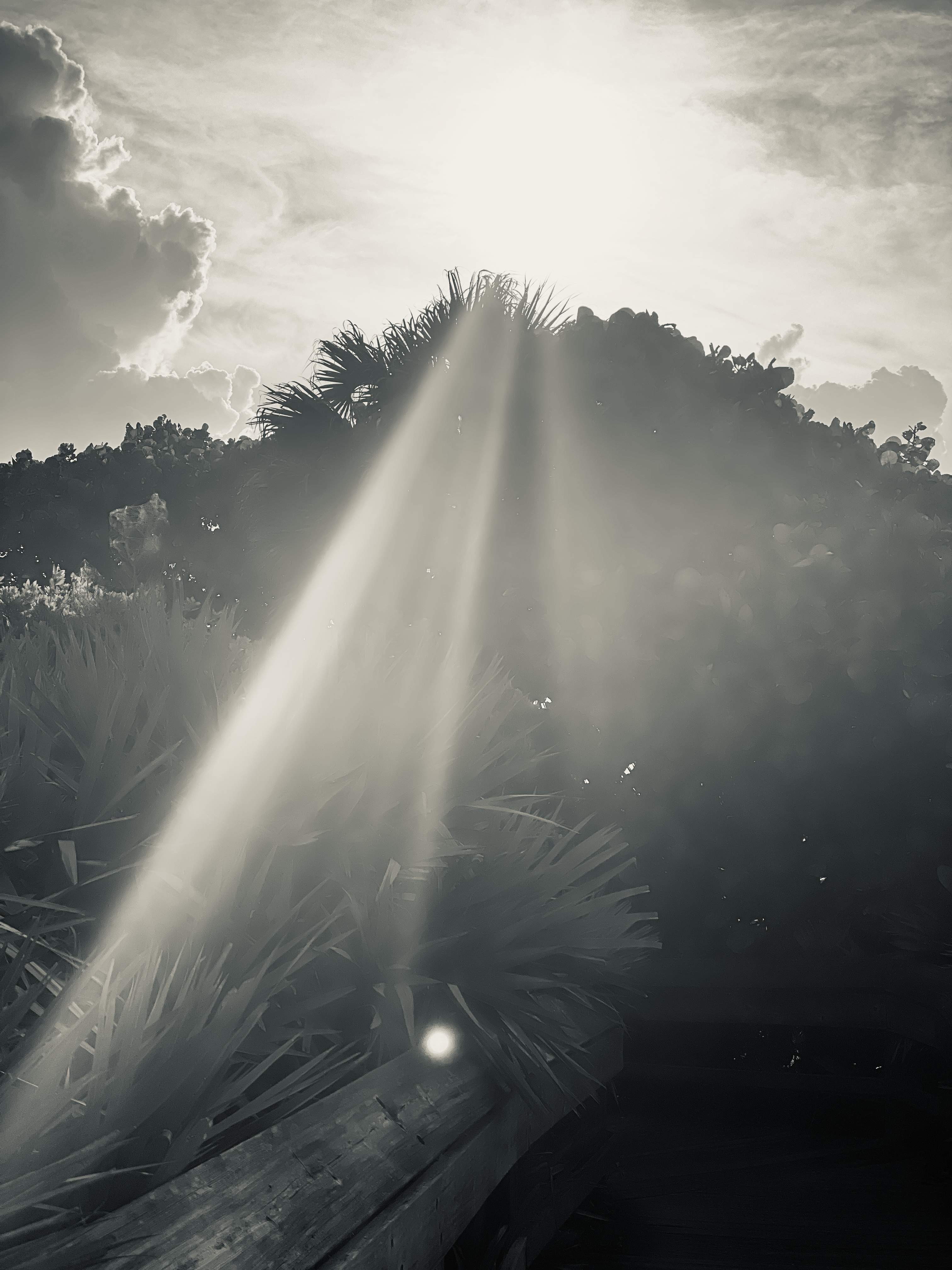 D188A9A9-8846-4A7D-A6EA-BC77C34019C9.jpeg