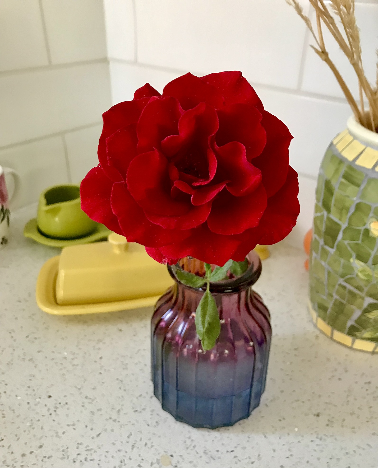 D247EAD2-C5D1-4319-AFFB-881E2277EA5D.jpeg