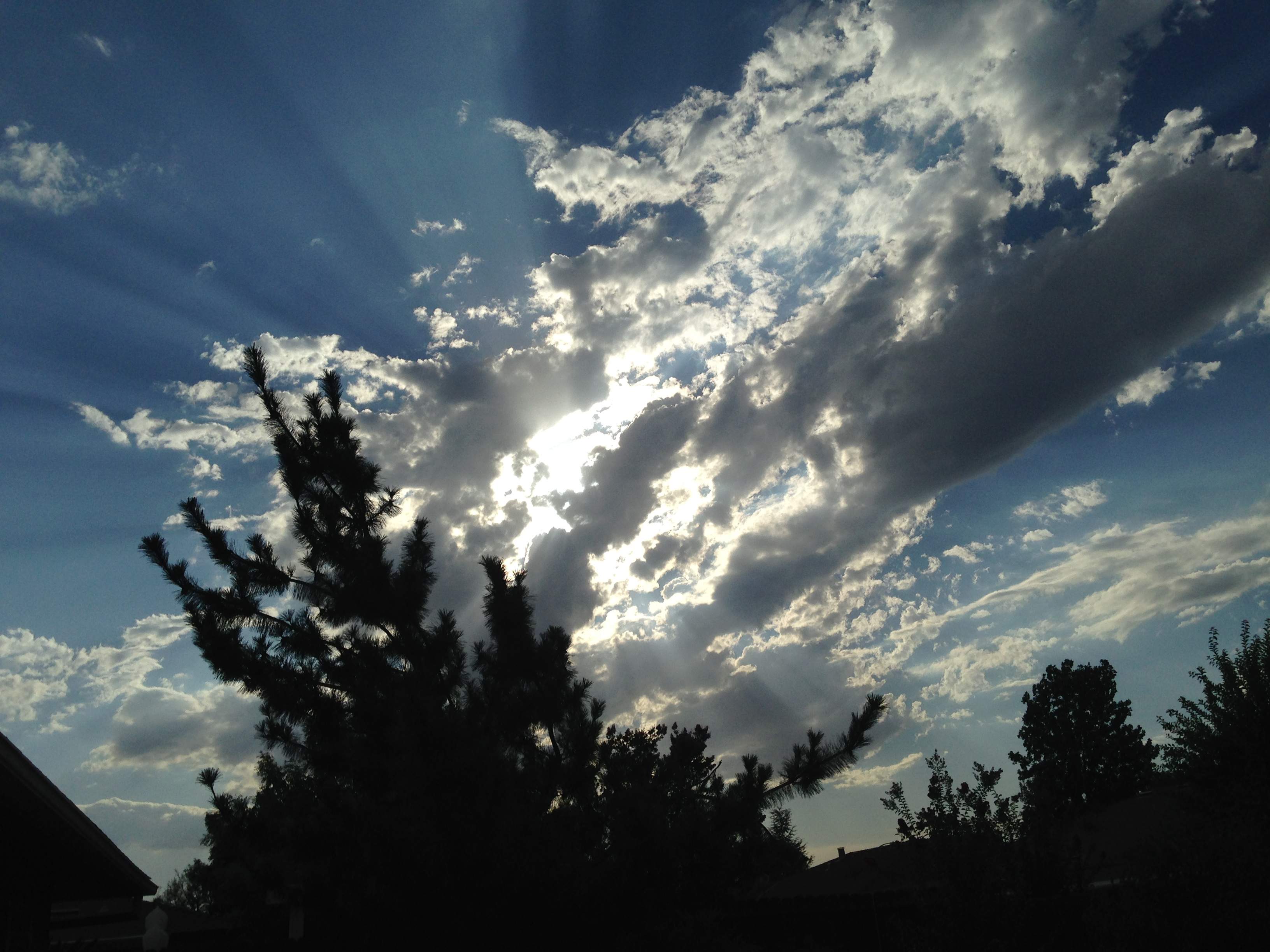 D3A8A850-185E-4809-AA92-6DA890DF99B7.jpeg