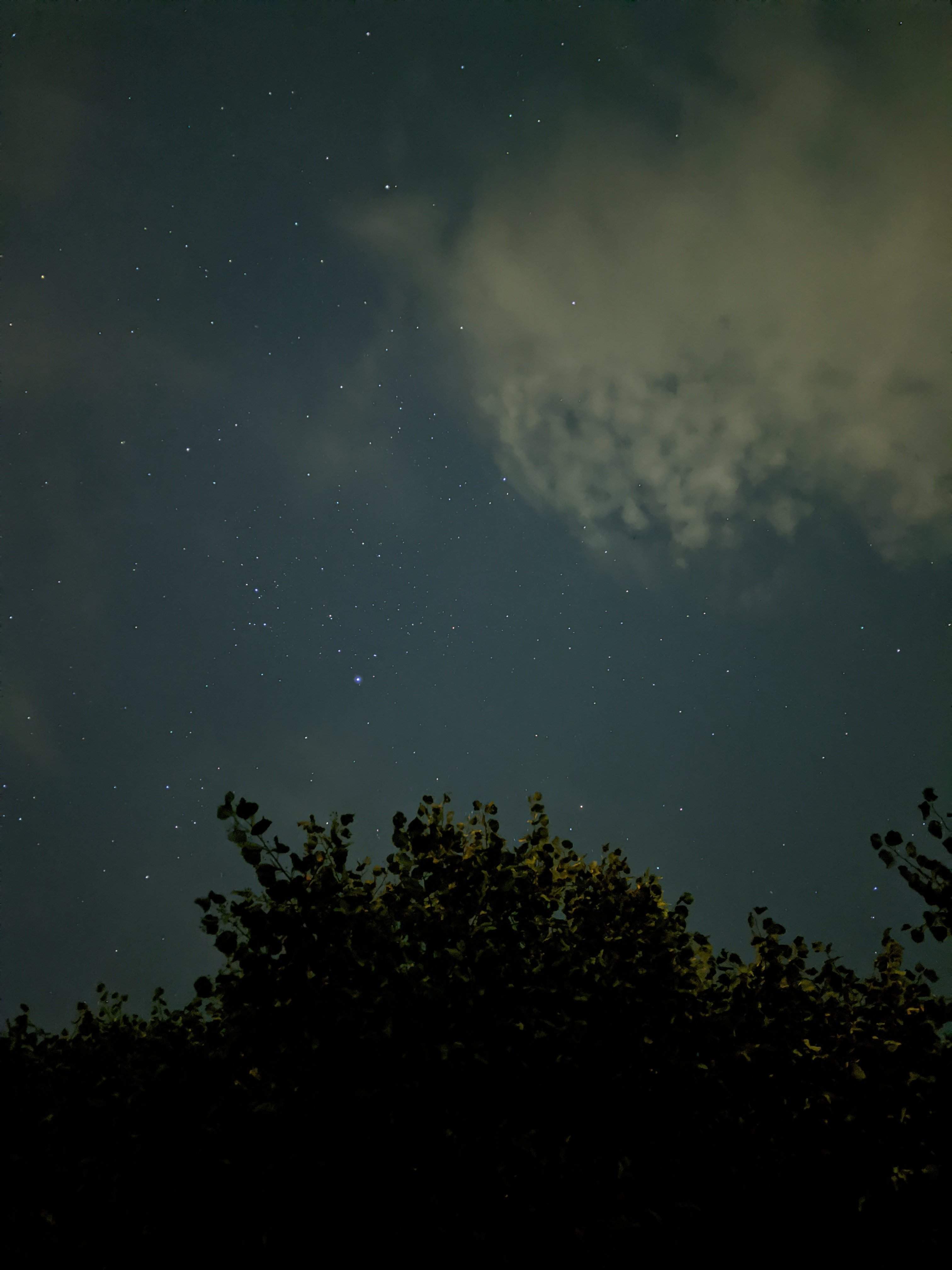 D3BCB1E4-6D53-490F-8903-A977BDD689DC.jpeg