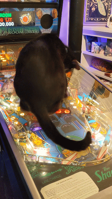 d3e71a29b8f51e68b8efeab59b404e47da967f6b.gif