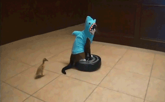 D46tNX8.gif