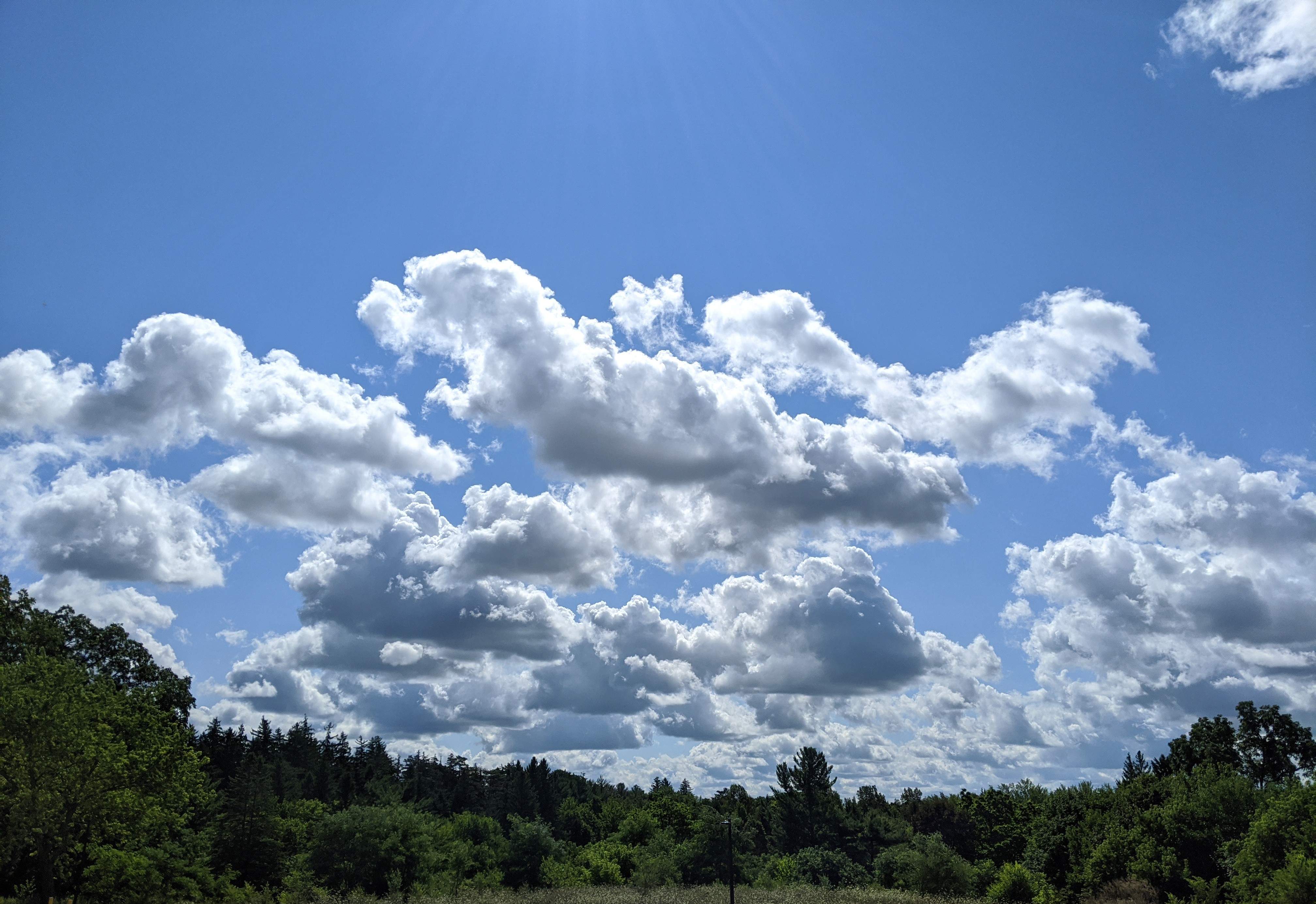 D4A58CED-64E6-4A8E-82CF-33067FDF45F0.jpeg
