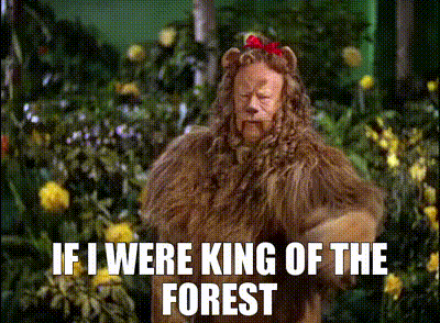 d4d971b0-b570-4829-85ef-697e01c8f50e_text.gif