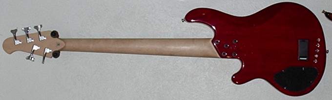 D55-01 back.jpg