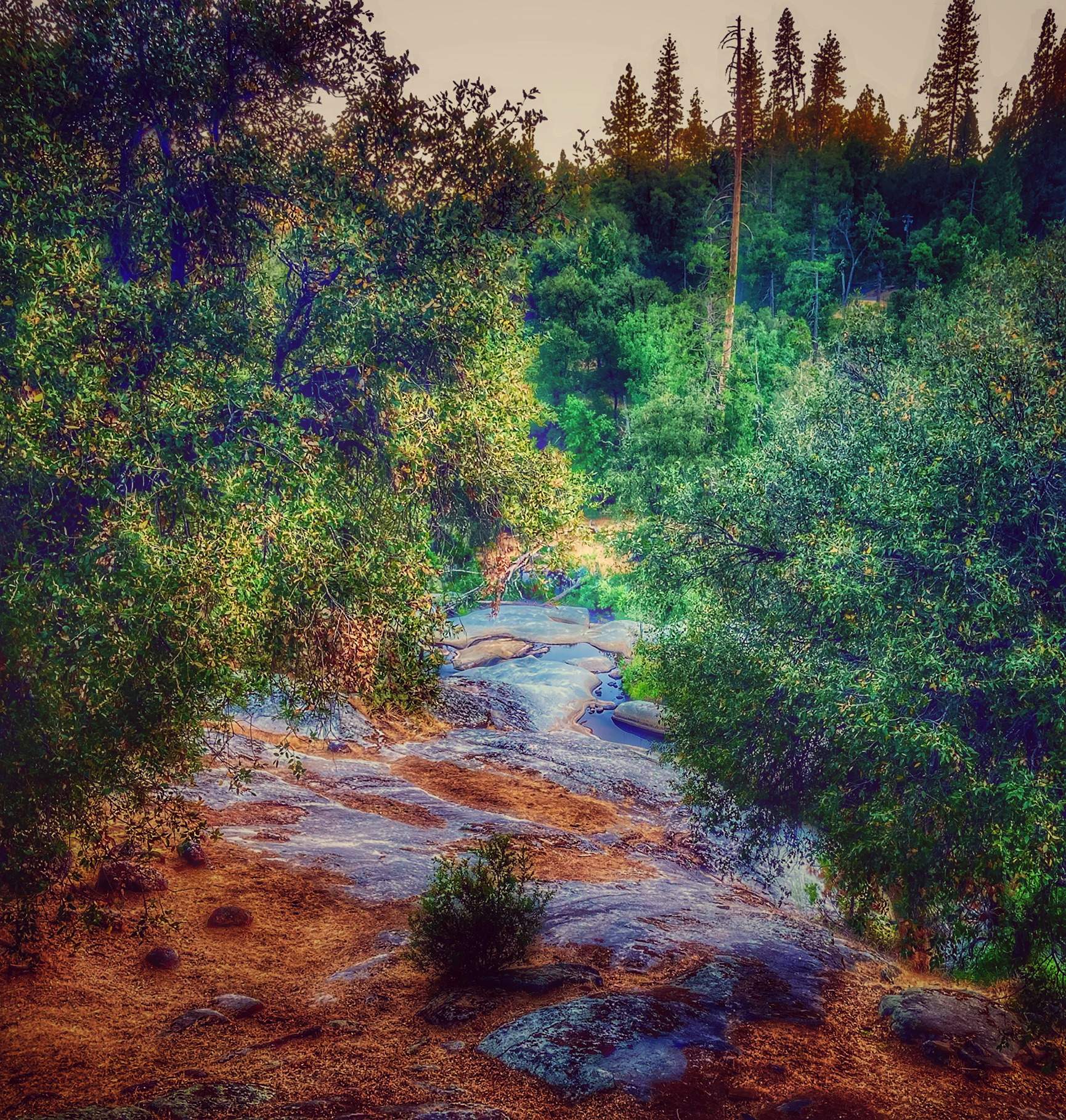 D562A3DF-0EBB-4FC6-93E2-26B471160A75.jpeg