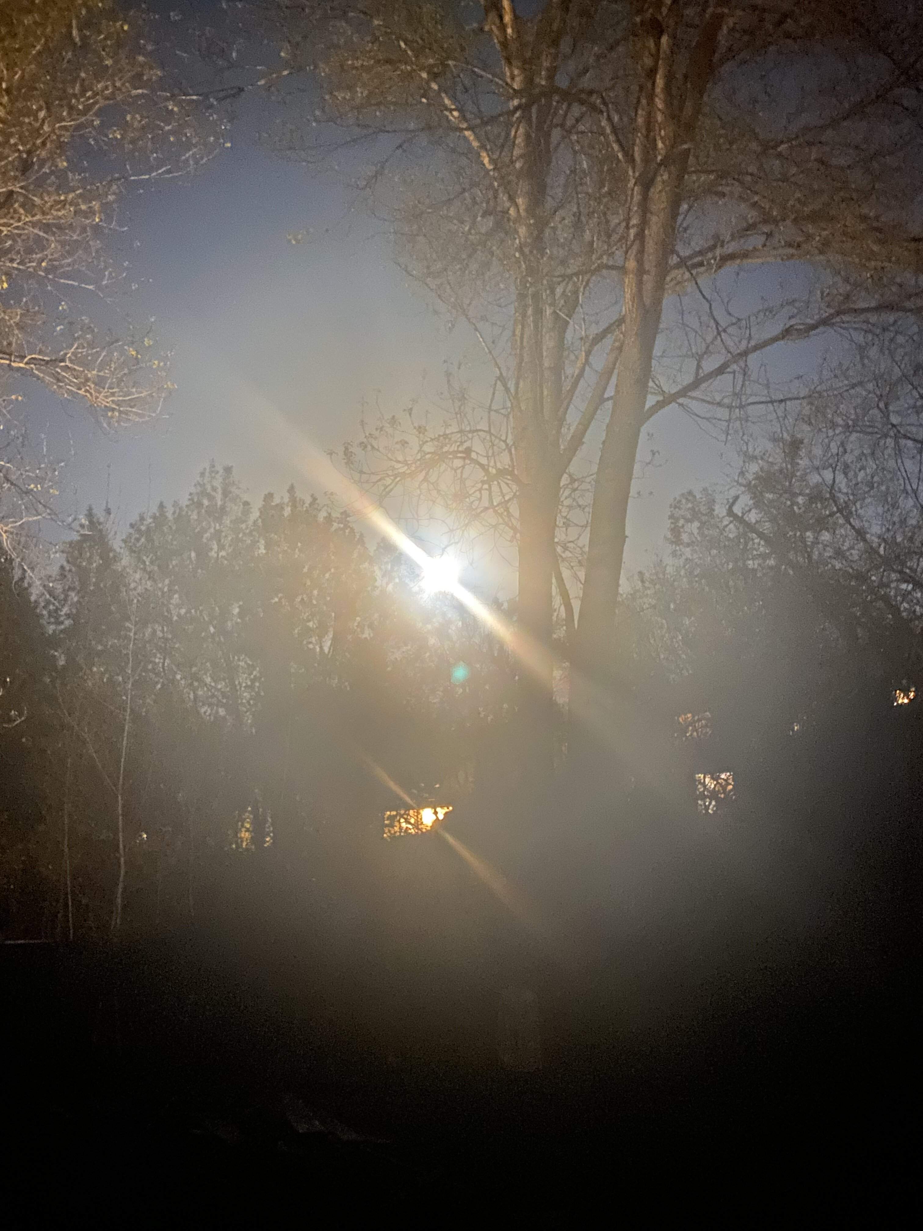 D586450F-6A88-4295-AD5F-173D92759FDB.jpeg