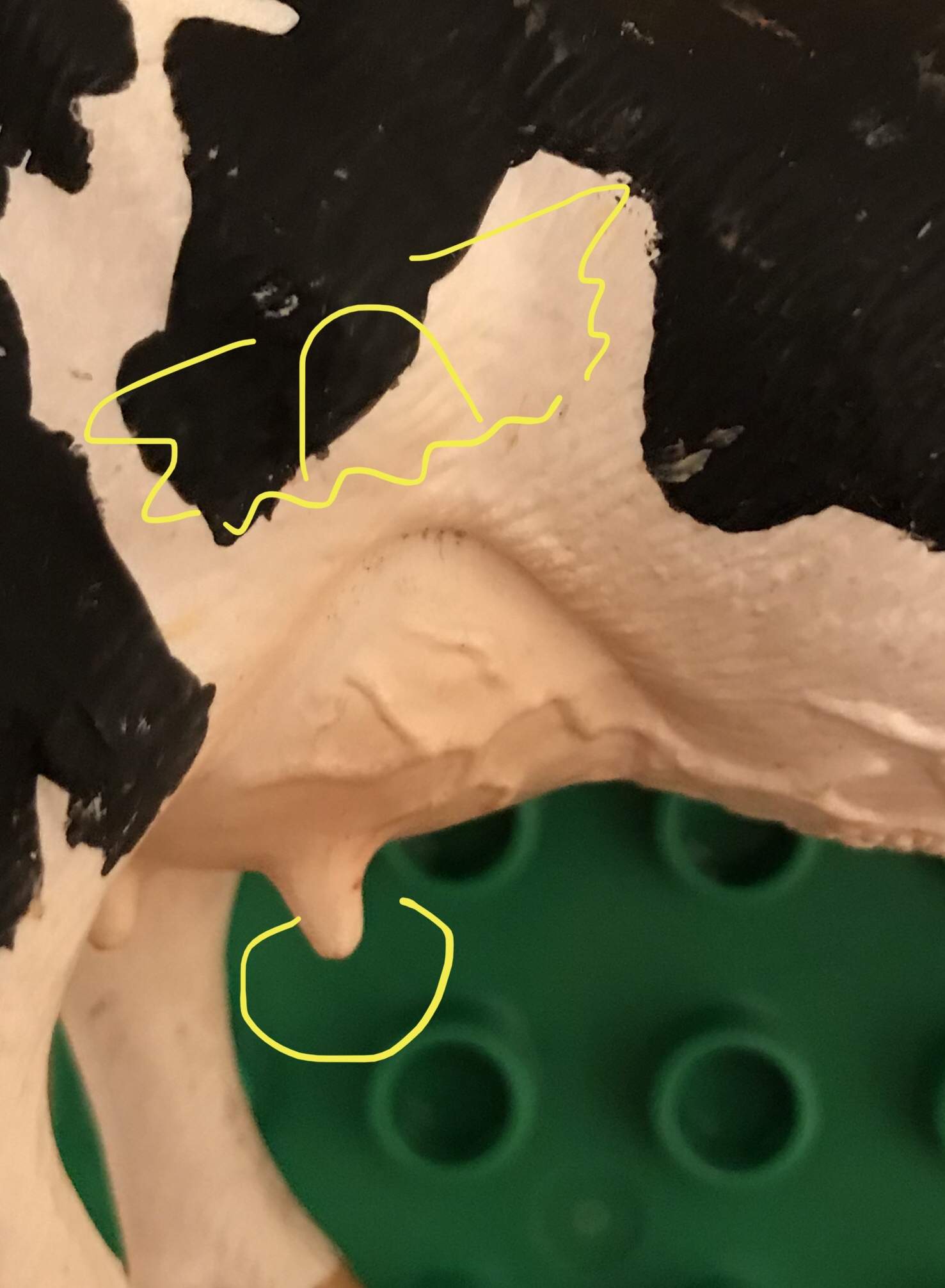 D613456A-08C3-4C4E-A0F2-DA85E6E8846A.jpeg