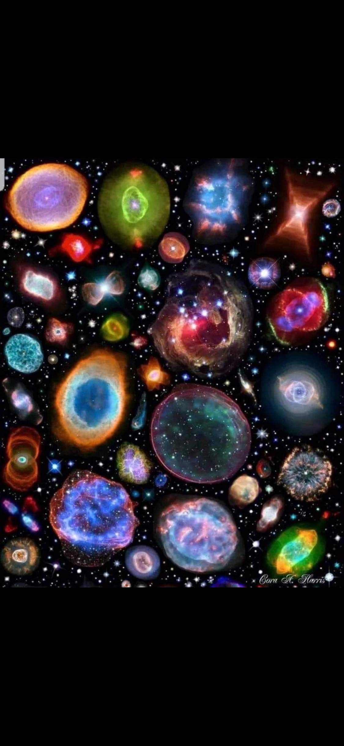 D63C4B7E-6C2A-4421-AD4E-94DE0DF20CC2.jpeg