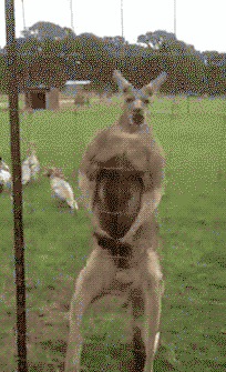d67be96f785933317cdde546ee481cd8.gif