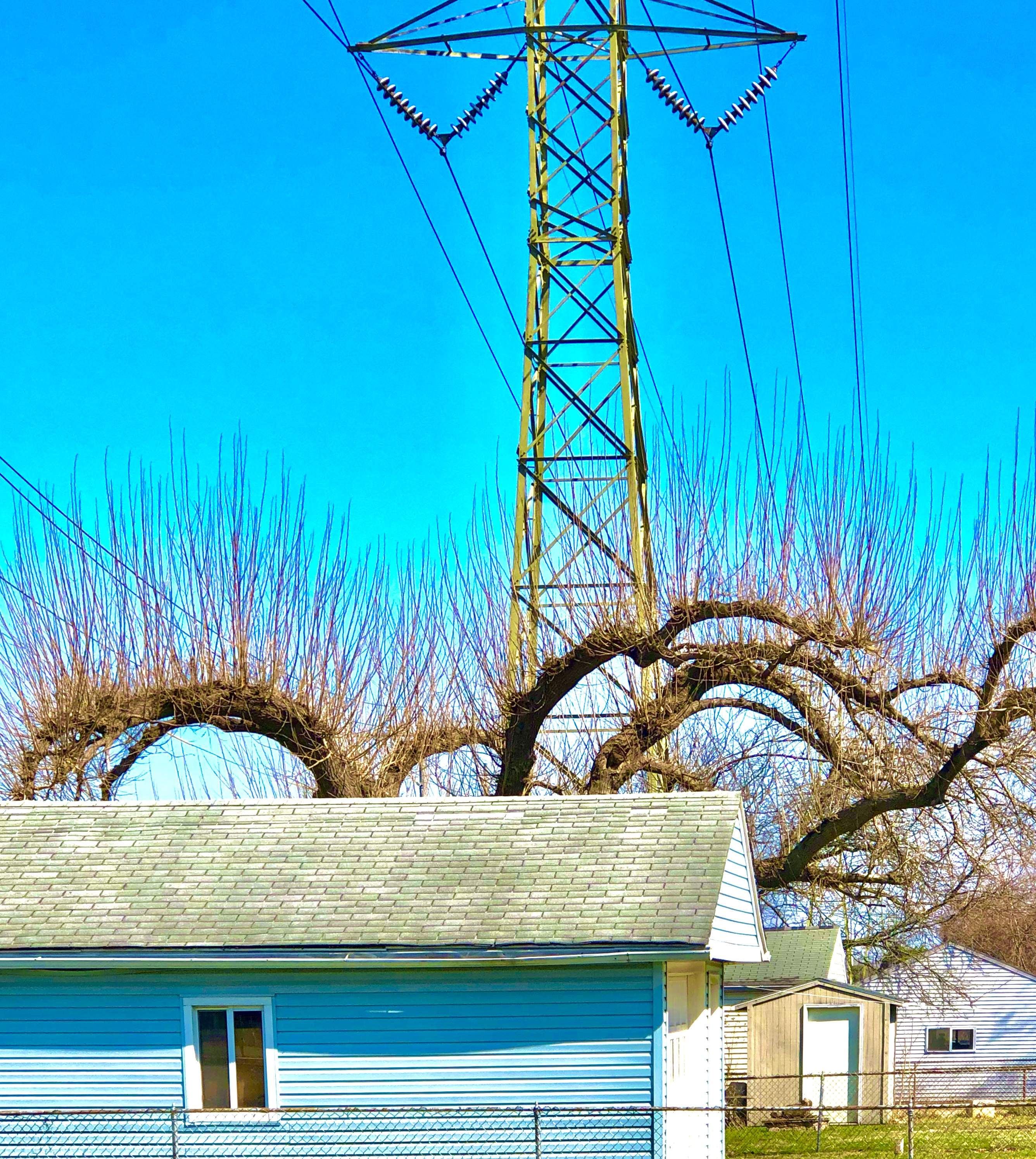 D6A1390A-601F-454C-B295-78E13F7E434F.jpeg