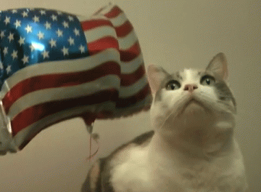 D86F1C2C-D031-46BF-97CB-5EF621D2E917.gif