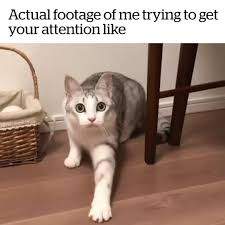 D8FE142B-69BA-4FA0-954F-18742F76C7DA.jpeg