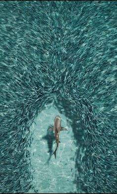 D9DBD3D3-BC74-44F2-B32E-B504B807FD43.jpeg