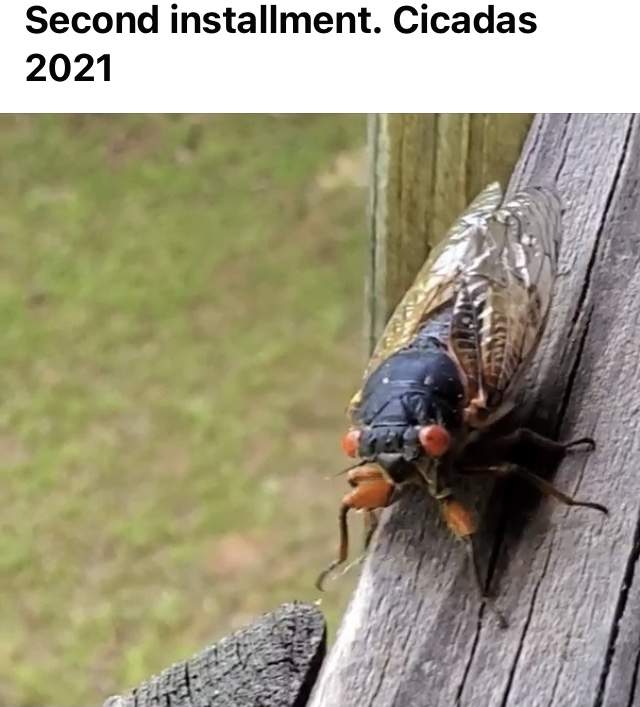 DA4C9B81-CF6B-4A2F-847F-DD572C33B53D.jpeg